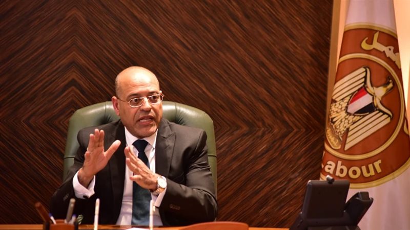 حسن شحاتة وزير العمل،