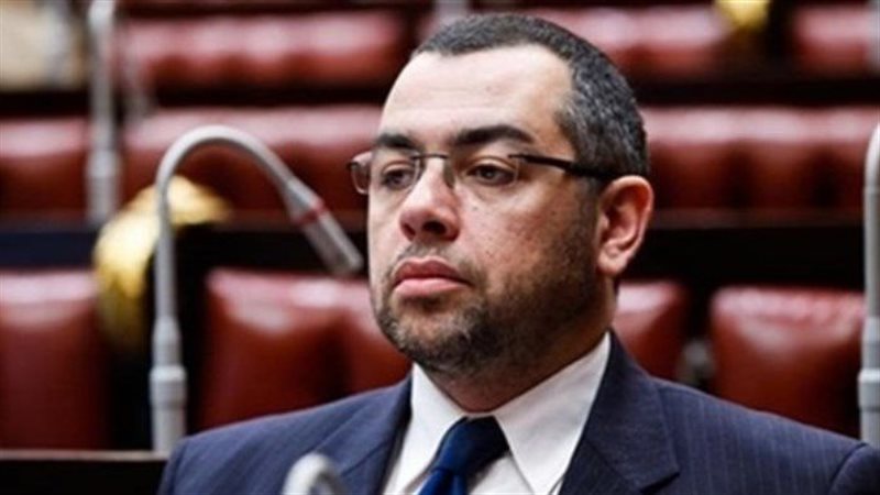 محمد فؤاد، الخبير