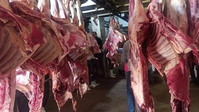 أسعار اللحوم البتلو تتراجع 9 جنيهات في الأسواق