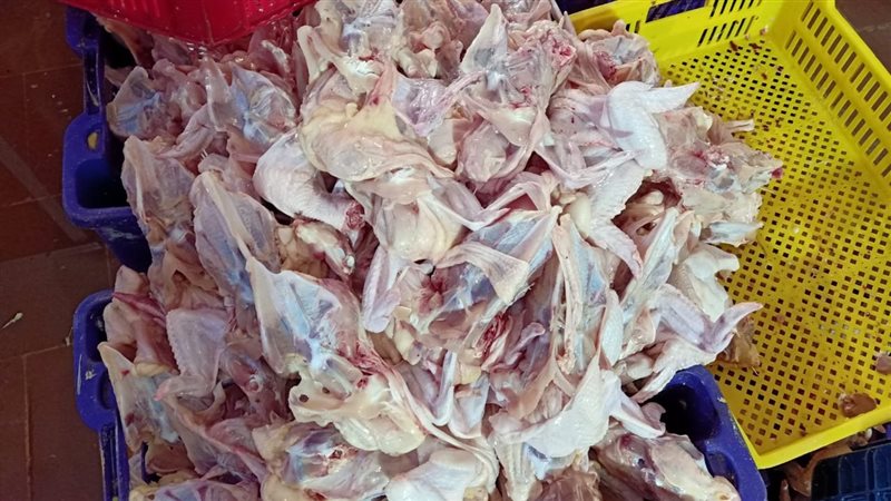  ضبط 10 أطنان هياكل