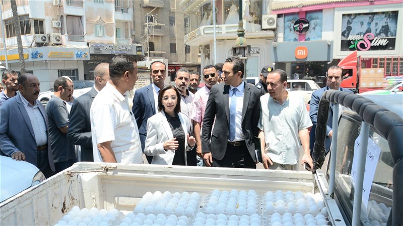 تفقد محافظ البحيرة