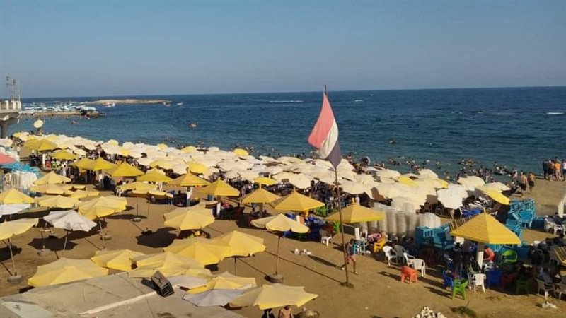 الإسكندرية 