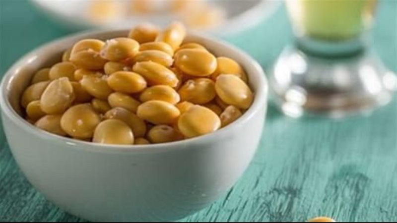 فوائد الترمس 