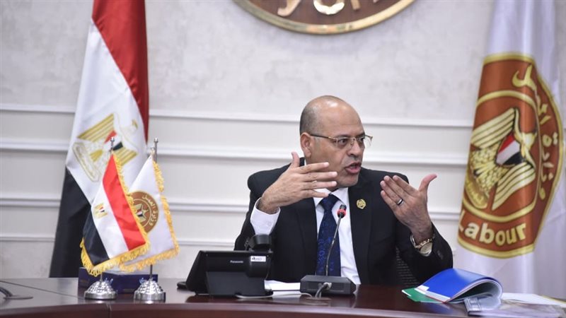 محمد جبران وزير العمل،فيتو