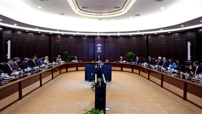 قرار عاجل لرئيس الوزراء بشأن حل أزمة نقص الدواء في مصر 