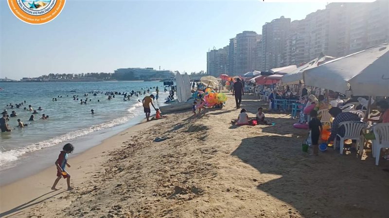 الإسكندرية, فيتو