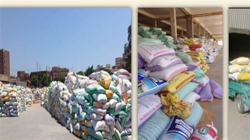 استمرار تدفق القمح