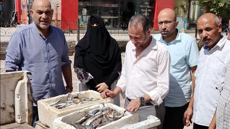 ضبط أسماك غير صالحة