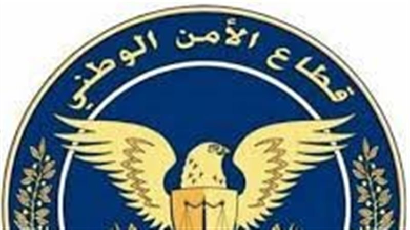 قطاع الأمن الوطني