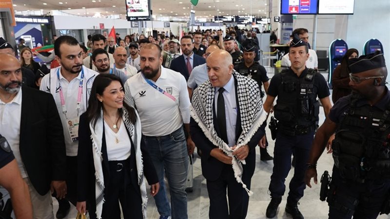بعثة فلسطين، فيتو