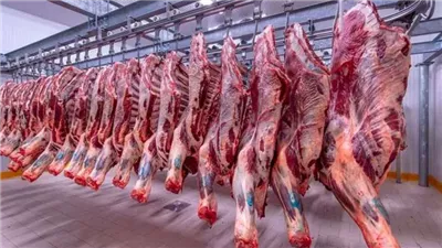 يصل إلى 12 جنيها، ارتفاع جديد في أسعار اللحوم الكندوز بالأسواق