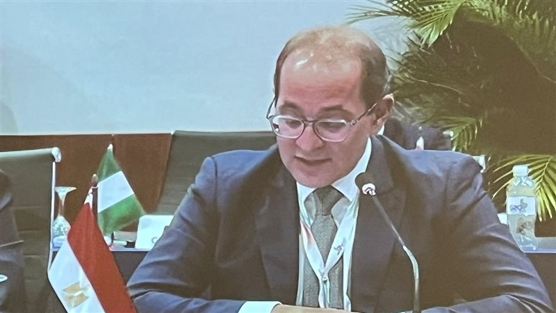أحمد كجوك وزير المالية