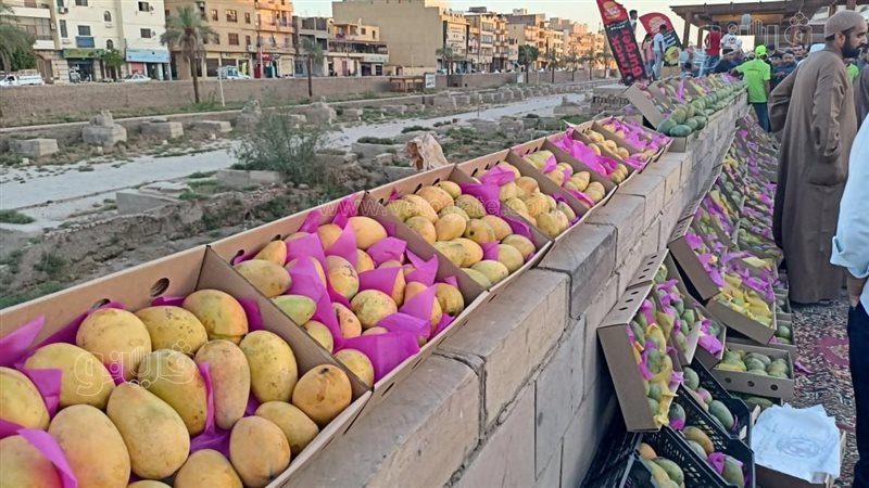 المانجو، فيتو
