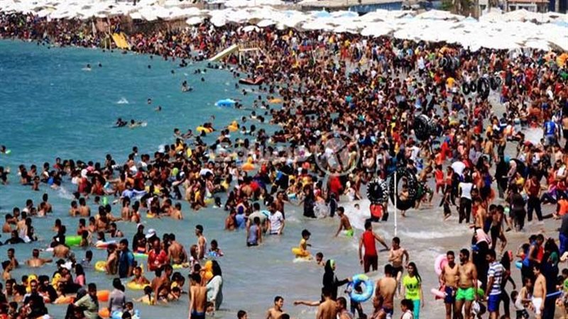 أحد شواطئ الإسكندرية،