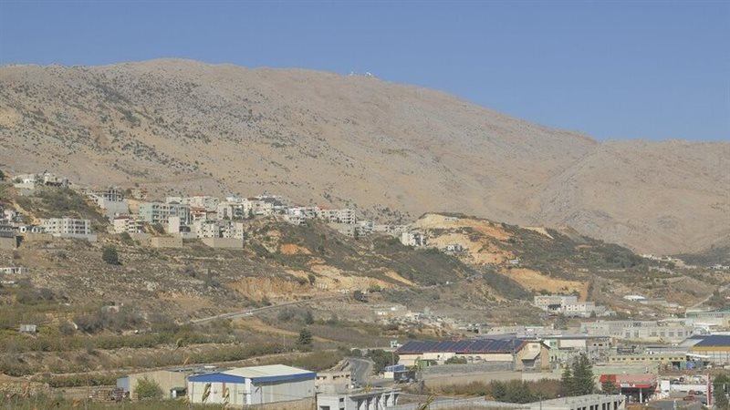 مجدل شمس،فيتو