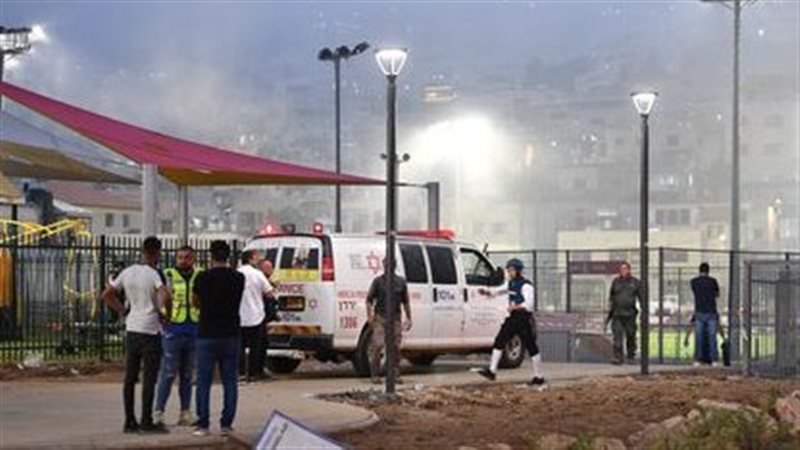 مجدل شمس، فيتو