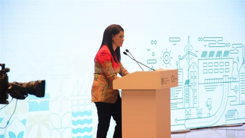 وزيرة التخطيط