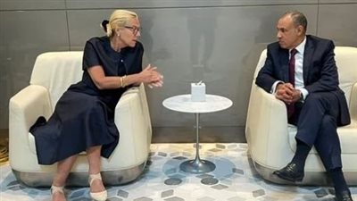 وزير الخارجية يؤكد ضرورة ضمان الدخول السريع للمساعدات الإنسانية لقطاع غزة