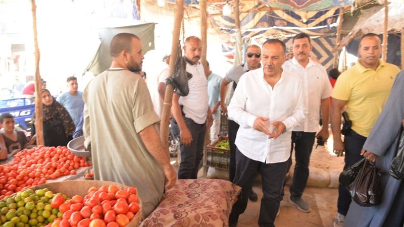 محافظ أسيوط يتفقد