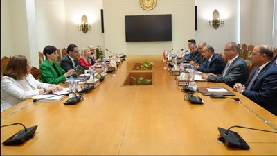 وزير الخارجية يجرى مشاورات سياسية مع نظيرة القبرصى 