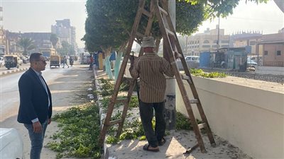 رئيس مركز الحسينية بالشرقية يوجه بتجميل مدخل المدينة