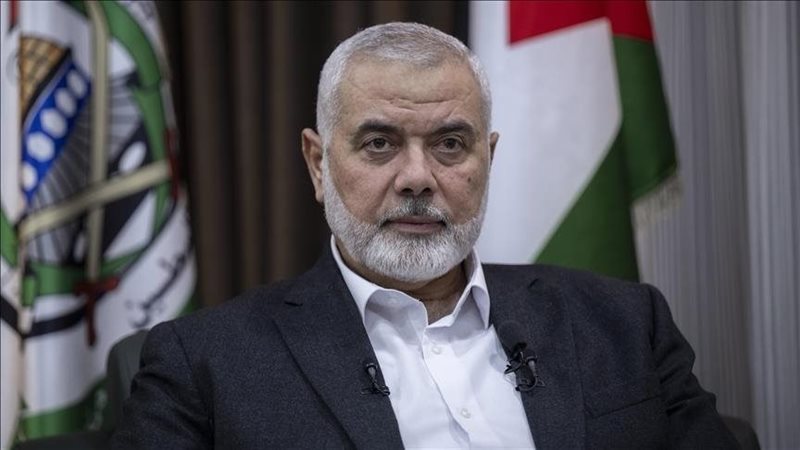 هنية، فيتو