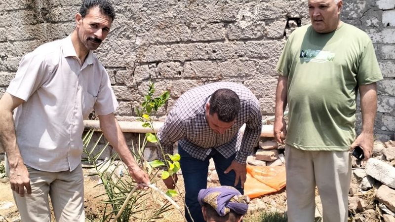 جامعة دمنهور تزرع