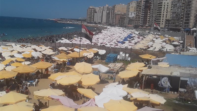 الإسكندرية 
