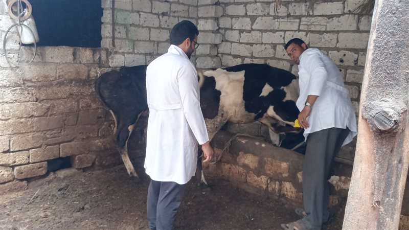 حملة بيطرية بالبحيرة