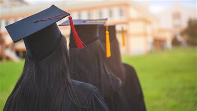 نتيجتك عندنا، نتيجة الثانوية العامة محافظة البحر الأحمر 2024 بالاسم ورقم الجلوس