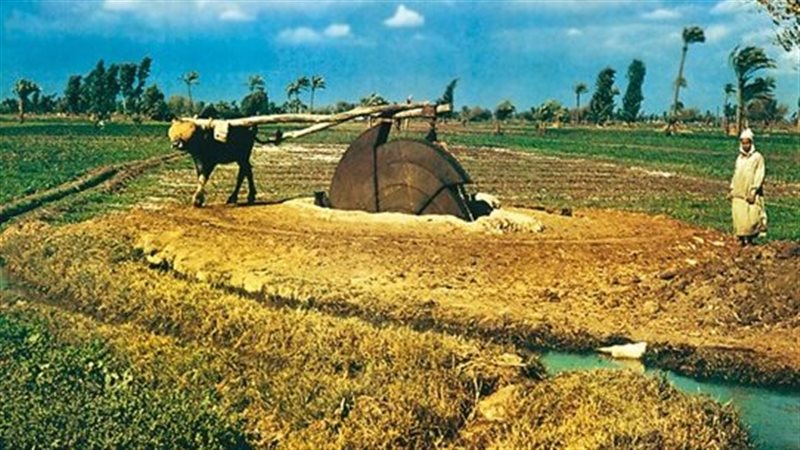 العاملين في الزراعة