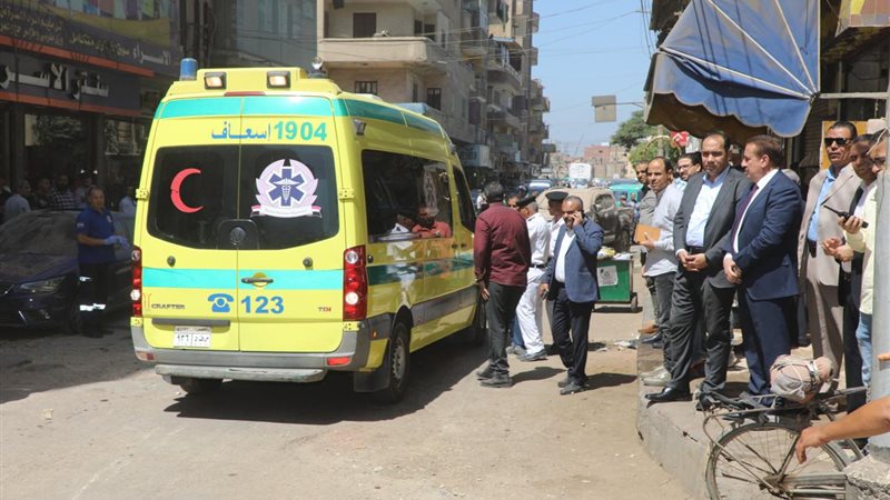 محافظة المنوفية،فيتو