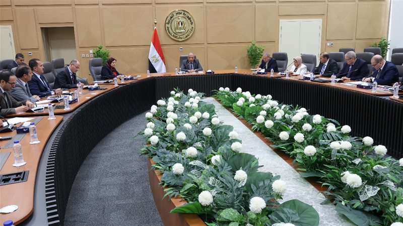 اجتماع وزير الكهرباء