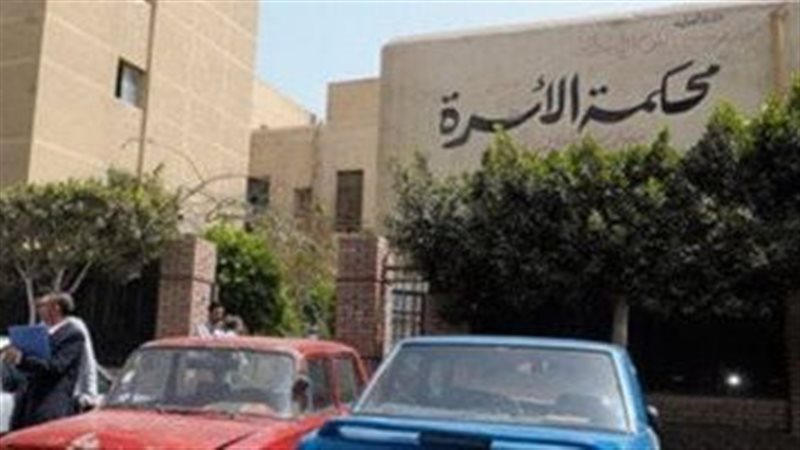محكمة الاسرة،فيتو