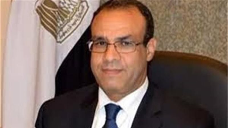 السفير بدر عبد العاطى