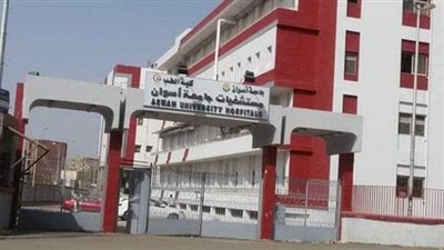 بالأسماء.. مصرع شخصين وإصابة 11 آخرين في حادث تصادم بطريق أسوان - أبو سمبل 