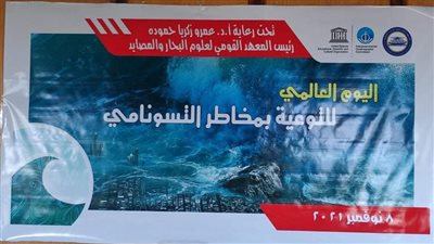 معهد علوم البحار يوصي بإجراءات لمواجهة اختفاء الإسكندرية