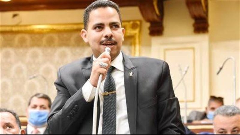 أشرف رشاد ممثل الأغلبية