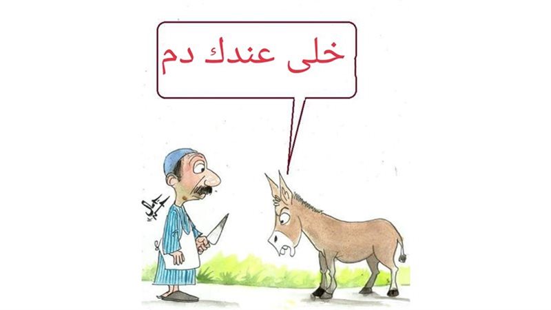 زيادة أسعار اللحوم