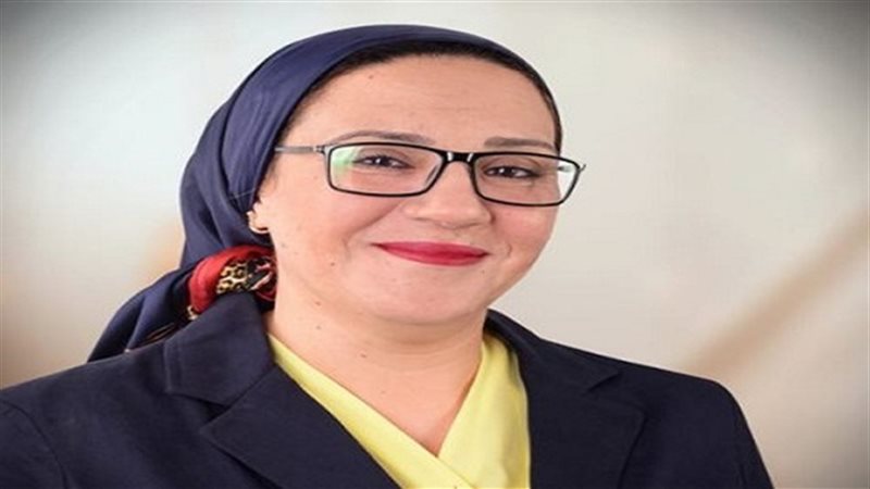 داليا الأتربي