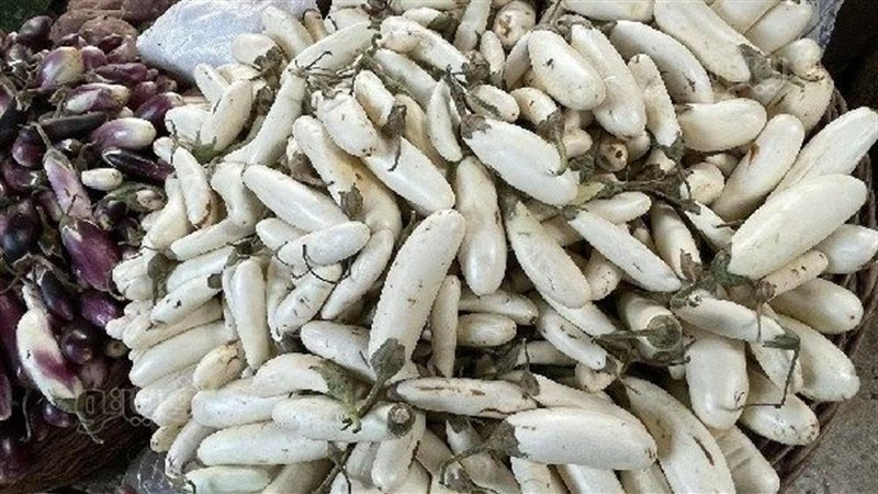 اسعار الخضروات اليوم