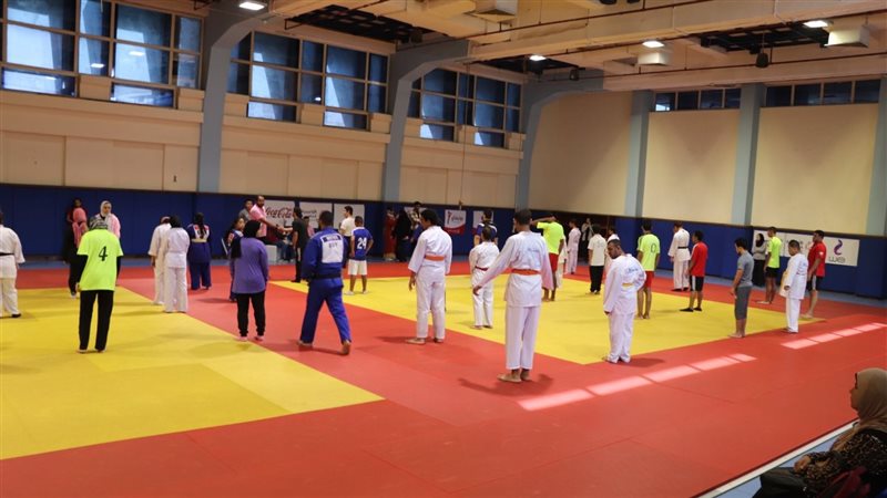 الاستعدادات للألعاب