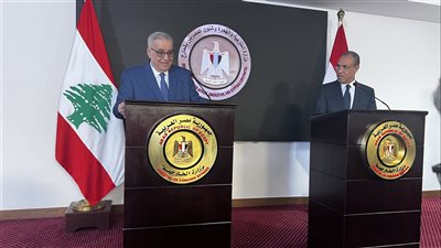وزير الخارجية: لا حل لأزمات المنطقة دون إقامة الدولة الفلسطينية 