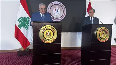 وزير خارجية لبنان: لا نريد اندلاع حرب شاملة 