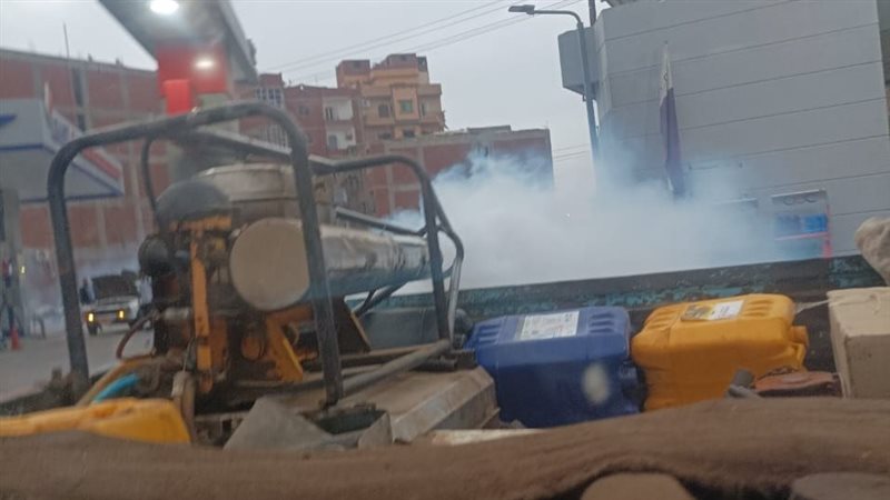 رش الباعوض والذباب