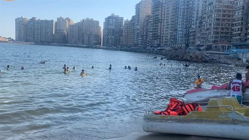 الإسكندرية 