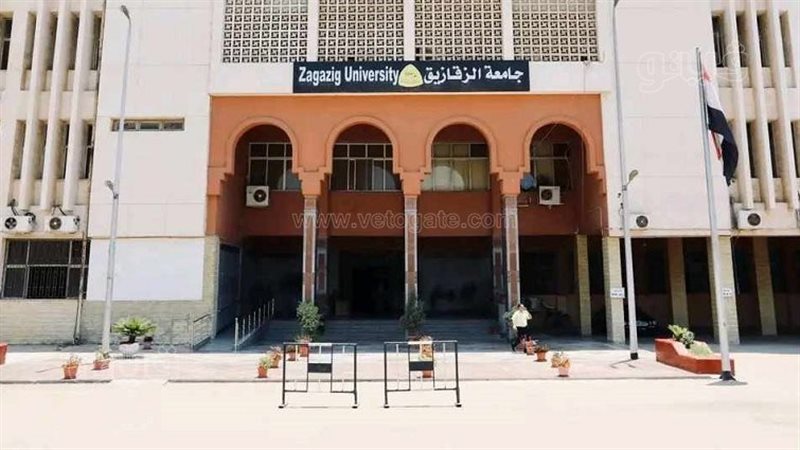   جامعة الزقازيق