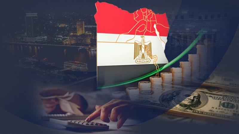  نتائج الأداء المالي