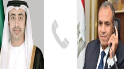 وزير الخارجية: حرب غزة سبب زيادة التوتر والتصعيد غير المسبوق بالمنطقة