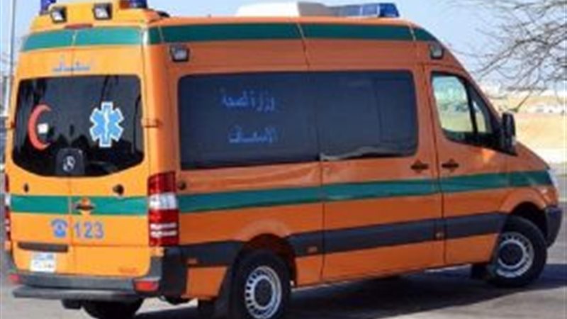 وفاة شقيقين، فيتو
